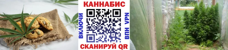 наркотики  Новая Усмань  Canna-Cookies конопля 