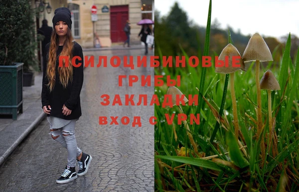 мдпв Балабаново