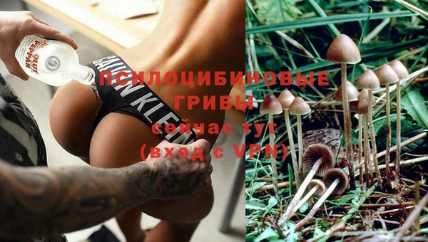 а пвп мука Баксан